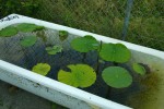 Photo-titre pour cet album:Ecrous, baignoires et calebasses