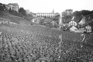 Vallee du Flon en 1904
