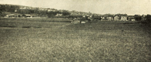 Fig 7 Malley