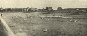 Fig 8 Malley