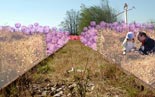 image du projet la conquête de l'ouest