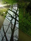 image du projet empreinte végétale