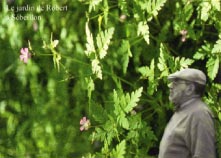 image du projet le jardin de Robert