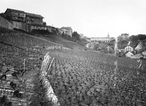 Vallee du Flon en 1904