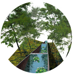 image du projet