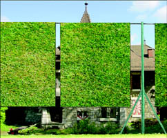 image du projet