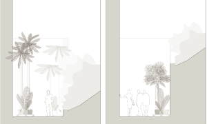image du projet