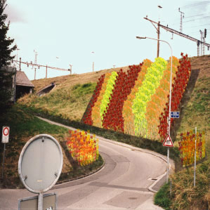 image du projet