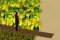 petite image du projet