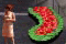 petite image du projet