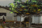 petite image du projet