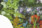 petite image du projet